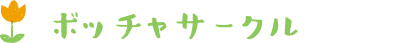 ボッチャサークル